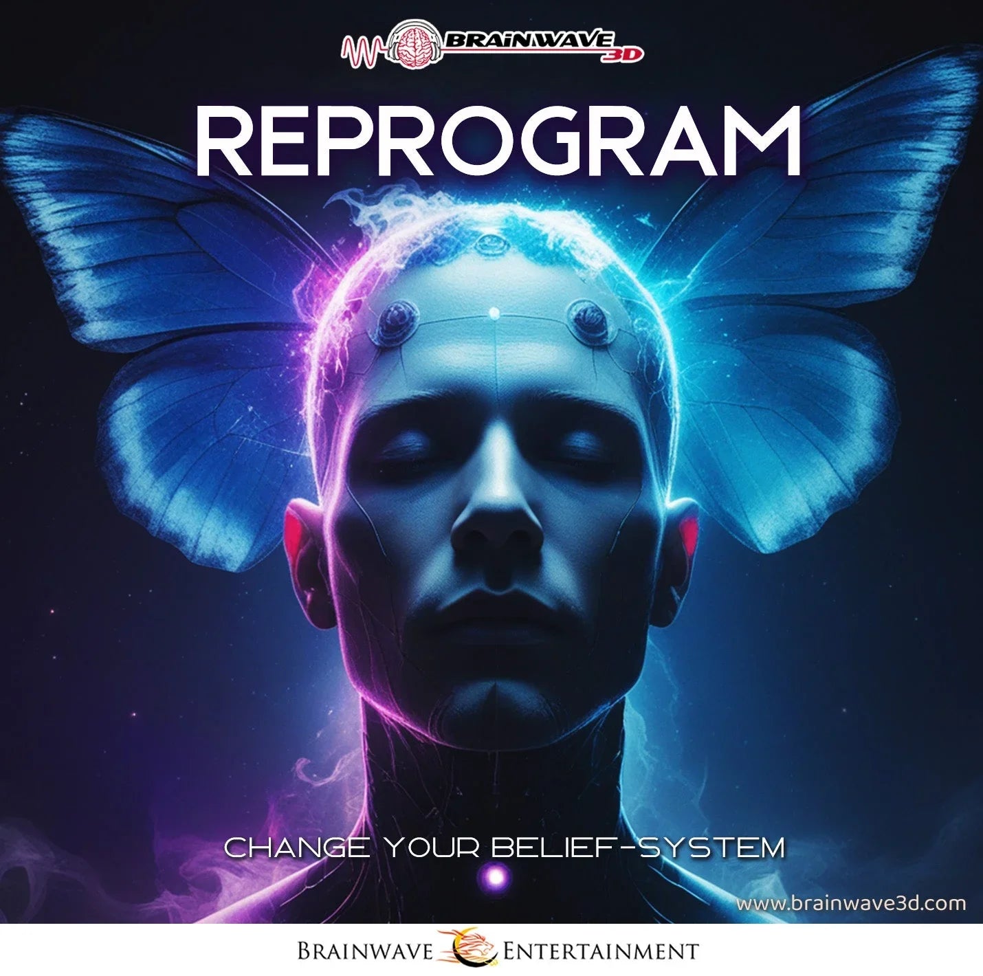 Reprogram - Rewire Your Subconscious Belief System